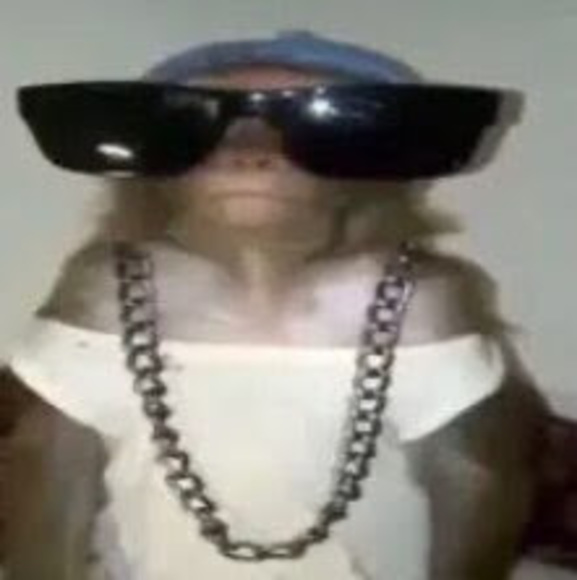 Meet your Posher, Genesis - Picture 1 of 1